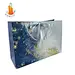 recycled  paper bag
